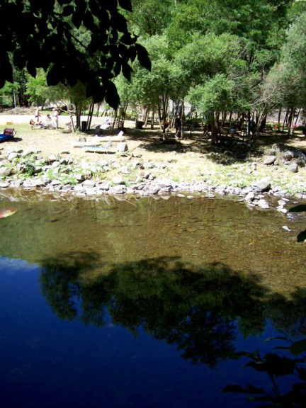  Image name: 100_0277.JPG 
 width: 432 pixel 
 height: 576 pixel 
 Size: 89203 bytes 
 Click to enlarge 